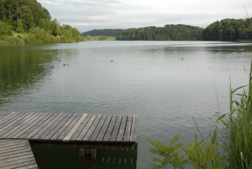 Rundwanderung um den Türlersee; Wanderung auf der Albiskette im Knonauer Amt