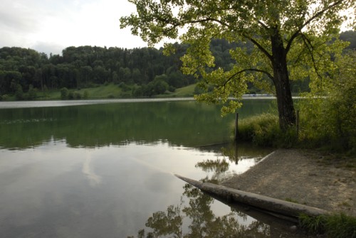 Rundwanderung um den Türlersee; Wanderung auf der Albiskette im Knonauer Amt