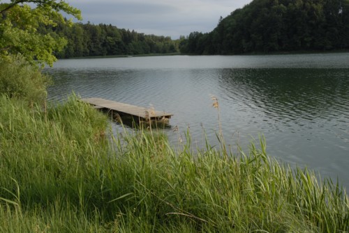 Rundwanderung um den Türlersee; Wanderung auf der Albiskette im Knonauer Amt