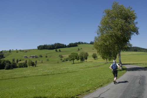 Ägerisee | Kanton Zug | Schweiz