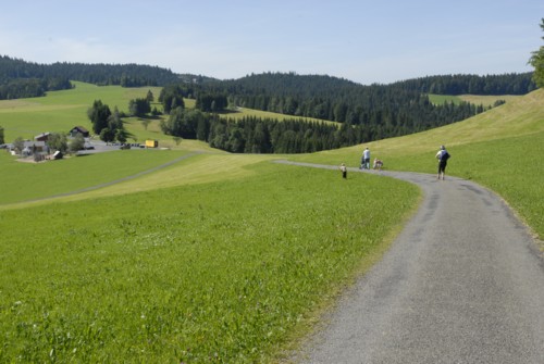 Ägerisee | Kanton Zug | Schweiz