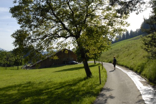 Ägerisee | Kanton Zug | Schweiz