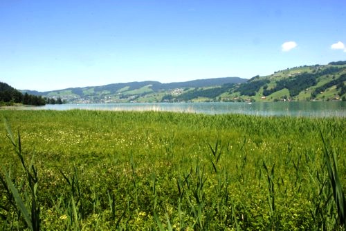 Ägerisee | Kanton Zug | Schweiz