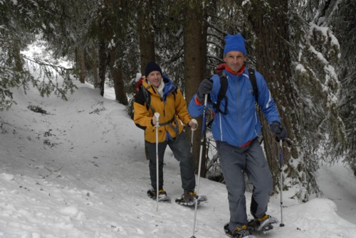 Von Axams auf die Birgitzer Alm und weiter zum Birgitzköpflhaus