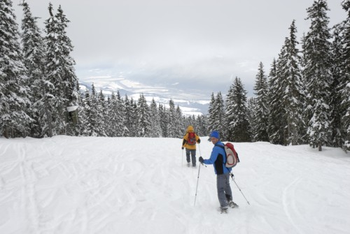 Von Axams auf die Birgitzer Alm und weiter zum Birgitzköpflhaus