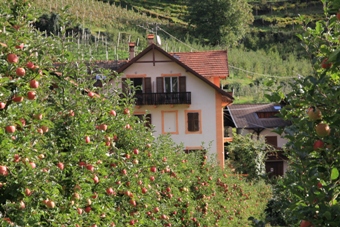 Südtirol | Passeiertal