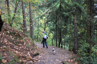 Südtirol | Passeiertal