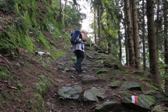 Südtirol | Passeier | St. Leonhard | Flecknerhütte