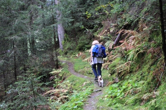 Südtirol | Passeier | St. Leonhard | Flecknerhütte