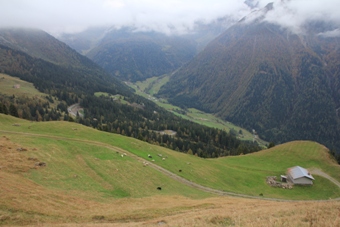 Südtirol | Passeier | St. Leonhard | Flecknerhütte