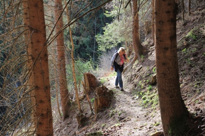 Rundwanderung bei Brandberg