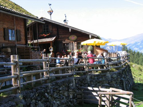 Alpenrose, Zillertal, im Aufstieg zur Edelhütte von Mayrhofen aus