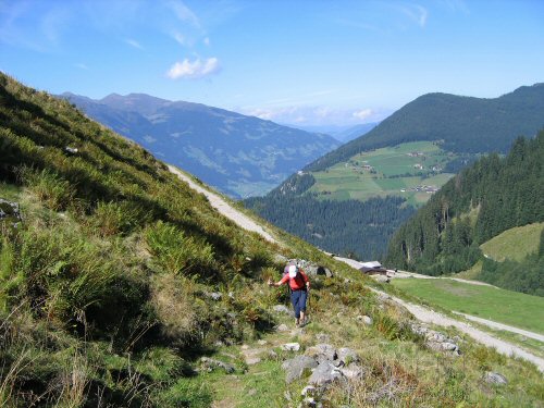 Auf dem Weg von der Alpenrose zur Edelhütte im Zillertal, Mayrhofen