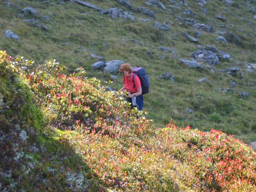 Auf dem Weg zur Edelhütte