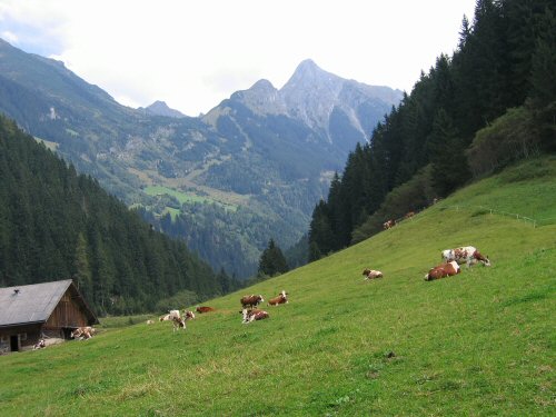 Blick nach Brandberg von Mayrhofen im Zillertal aus